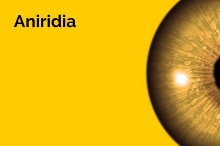 The word 'Aniridia' is displayed in large letters. Half of an eyeball is also displayed against a yellow background.