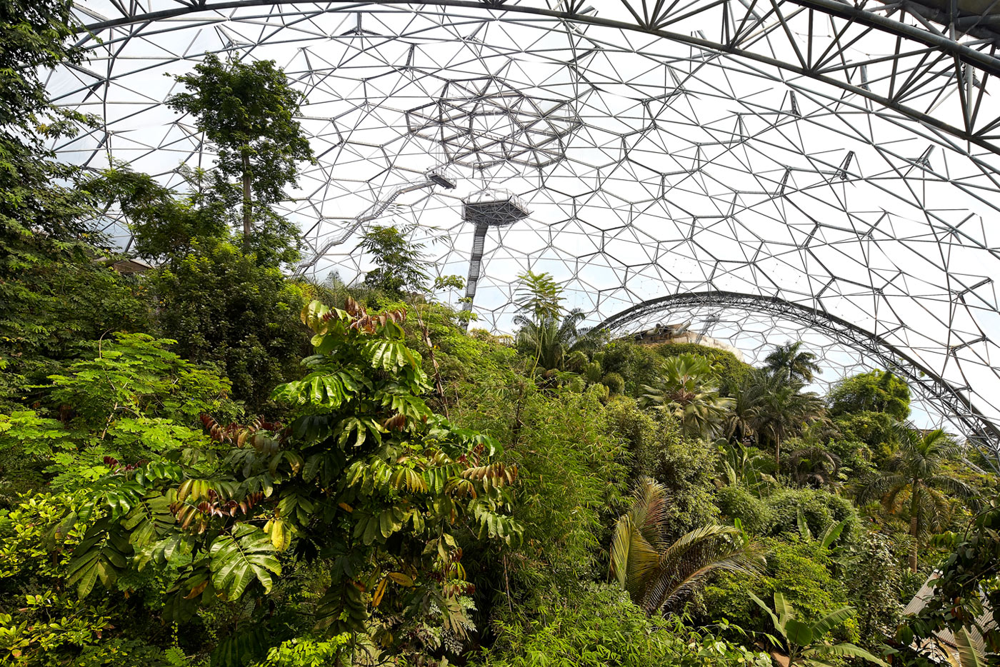 Eden Project Access and Inclusion Mystery Shopper