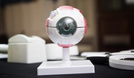 A plastic display eye.