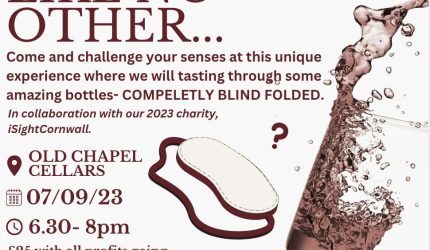 A tasting like no other with an image of a glass of wine and a blindfold