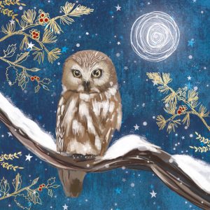 Christmas cards with a dark blue night sky featuring a moonlit owl on a snowy branch surrounded by holly berries.